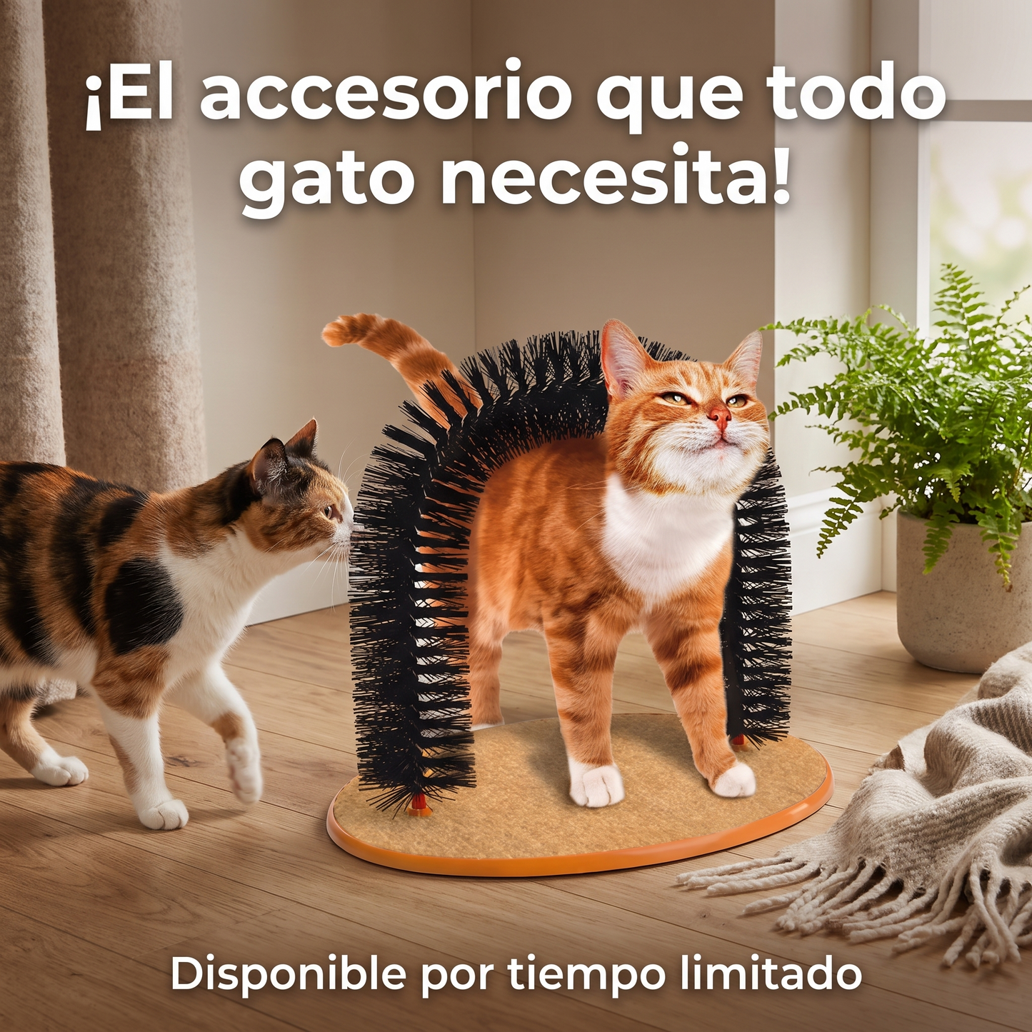 Juguete para gatos arco auto Groome Pamper Felino con masaje cepillo para frotar con almohadilla para rascar juguetes interactivos para gatos