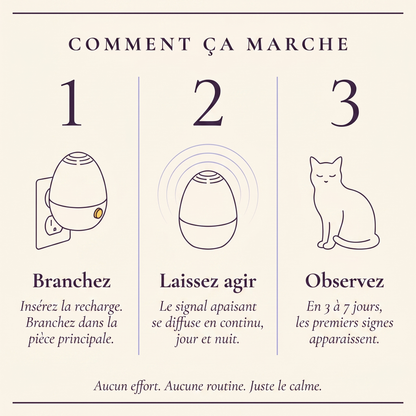 Le kit Harmony — Diffuseur apaisant pour chats anxieux lors d'un déménagement