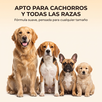 NaturPaw Gotas Diarias para Perros - Suplemento Natural para Piel, Pelaje y Digestión Sana | 60ml